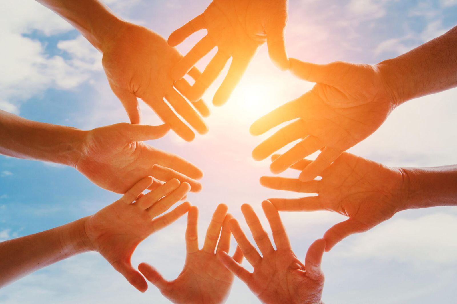 Many hands circle